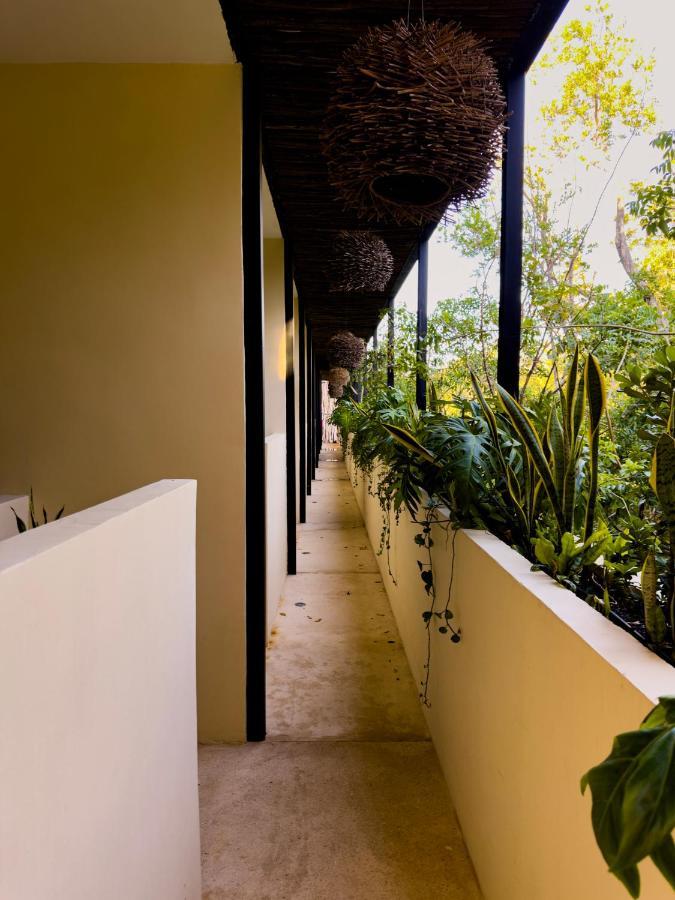Kuukum Tulum Hotel エクステリア 写真